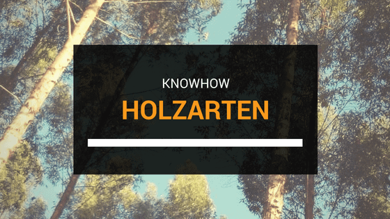 alle-holzarten-eigenschaften