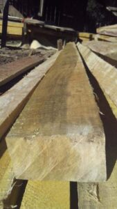 Holzbohle aus Ipe / Lapacho