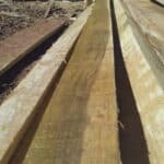 Holzbohle aus Ipe / Lapacho