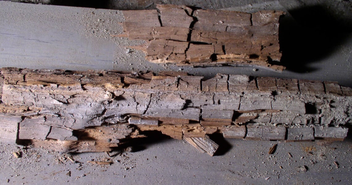 Durch Braunfäule zersetztes Stück Holz